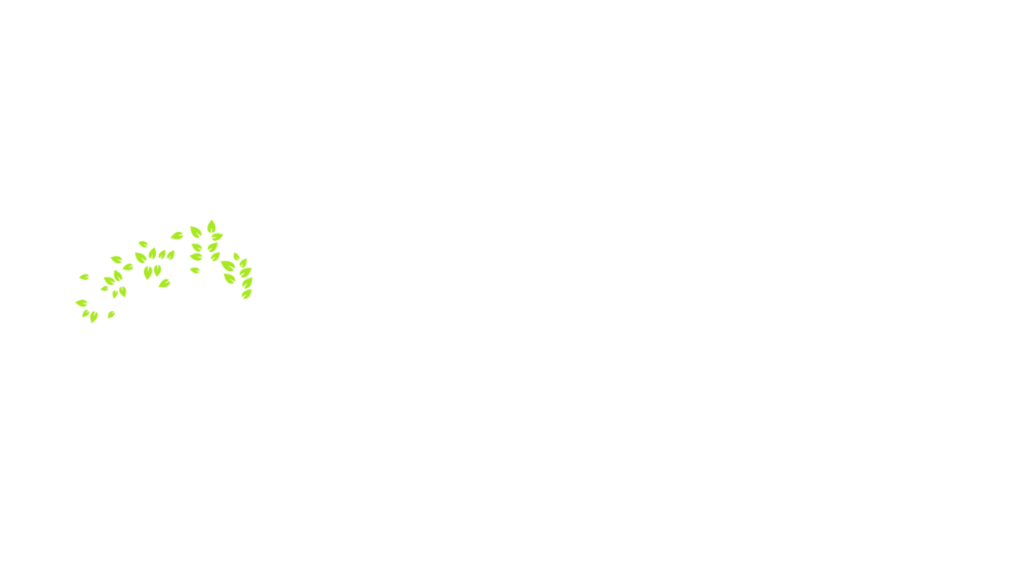 Orbo Novo Coaching School